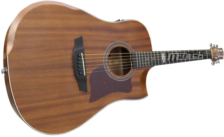 violão-strinberg-é-bom